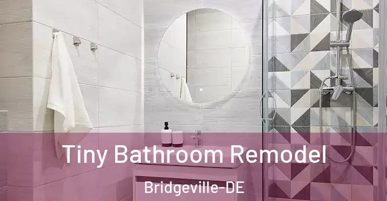 inner Bathroom imggen Tiny Bathroom Remodel Bridgeville-DE