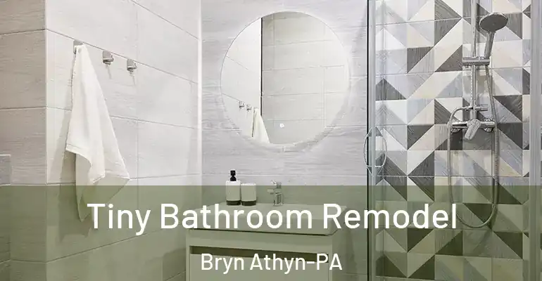 inner Bathroom imggen Tiny Bathroom Remodel Bryn Athyn-PA