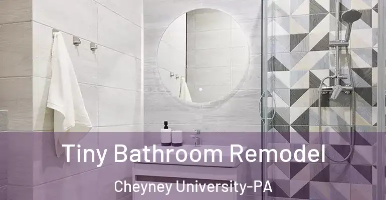 inner Bathroom imggen Tiny Bathroom Remodel Cheyney University-PA
