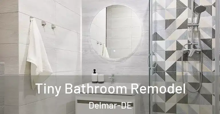 inner Bathroom imggen Tiny Bathroom Remodel Delmar-DE