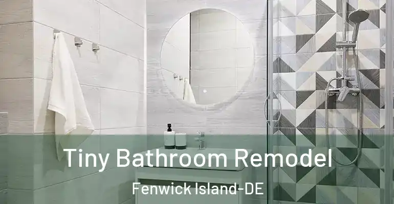inner Bathroom imggen Tiny Bathroom Remodel Fenwick Island-DE