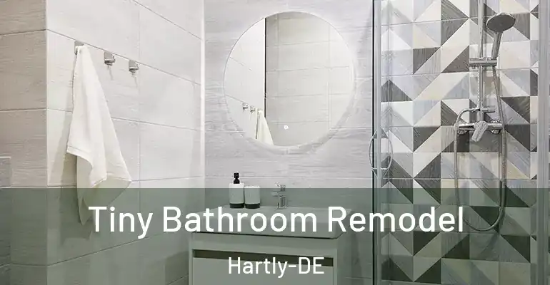 inner Bathroom imggen Tiny Bathroom Remodel Hartly-DE