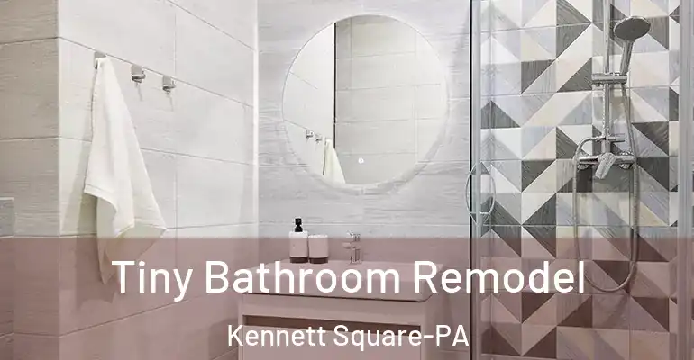inner Bathroom imggen Tiny Bathroom Remodel Kennett Square-PA