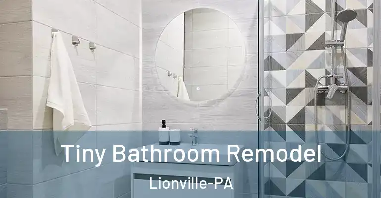 inner Bathroom imggen Tiny Bathroom Remodel Lionville-PA