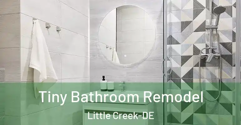 inner Bathroom imggen Tiny Bathroom Remodel Little Creek-DE