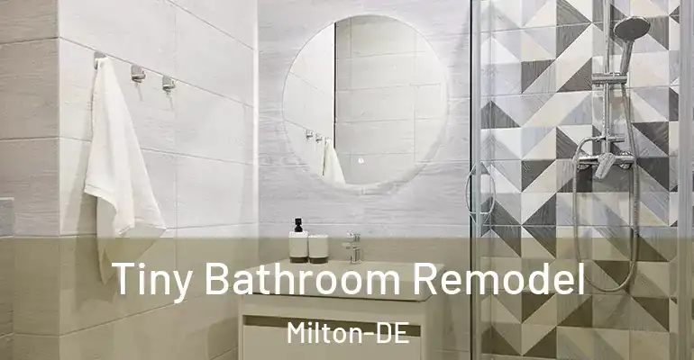 inner Bathroom imggen Tiny Bathroom Remodel Milton-DE