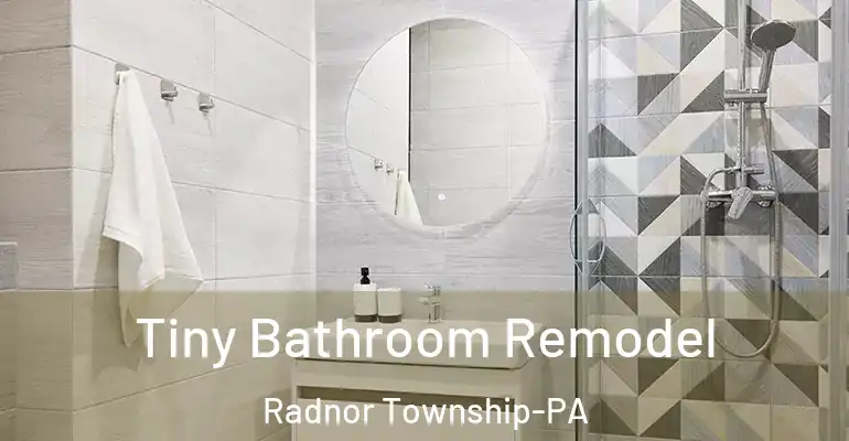inner Bathroom imggen Tiny Bathroom Remodel Radnor Township-PA