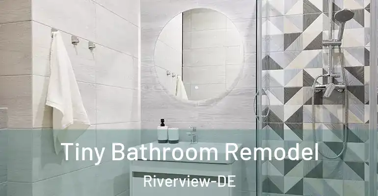 inner Bathroom imggen Tiny Bathroom Remodel Riverview-DE