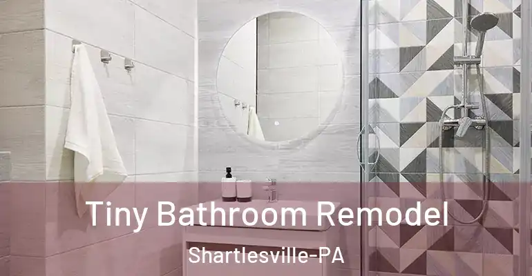 inner Bathroom imggen Tiny Bathroom Remodel Shartlesville-PA
