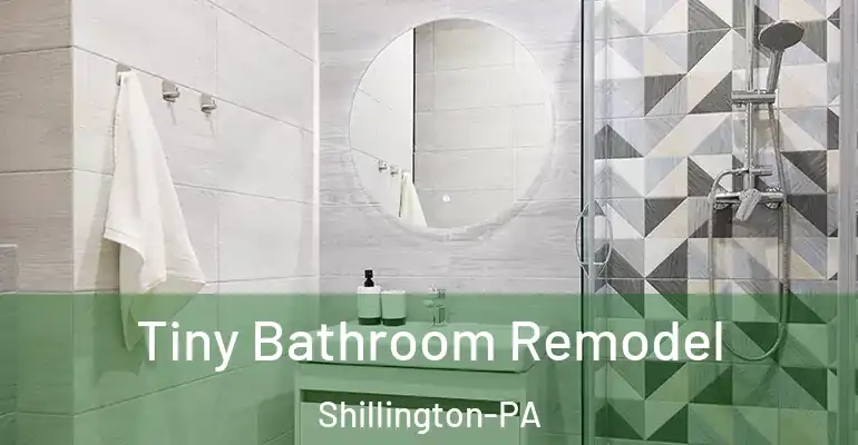 inner Bathroom imggen Tiny Bathroom Remodel Shillington-PA