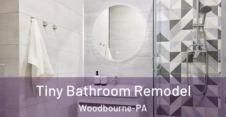 inner Bathroom imggen Tiny Bathroom Remodel Woodbourne-PA