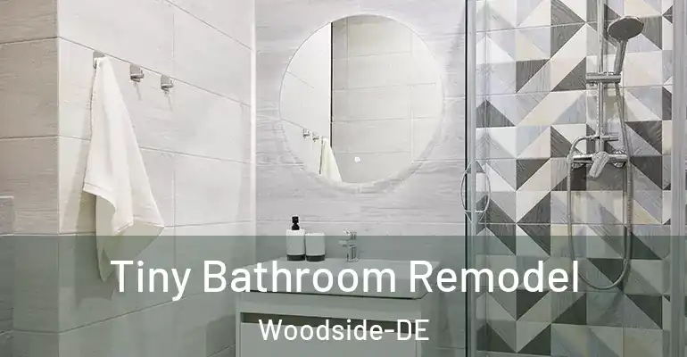 inner Bathroom imggen Tiny Bathroom Remodel Woodside-DE