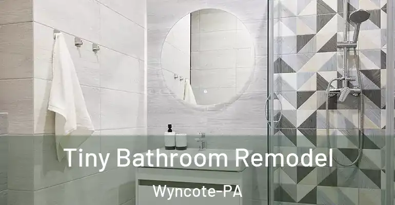 inner Bathroom imggen Tiny Bathroom Remodel Wyncote-PA