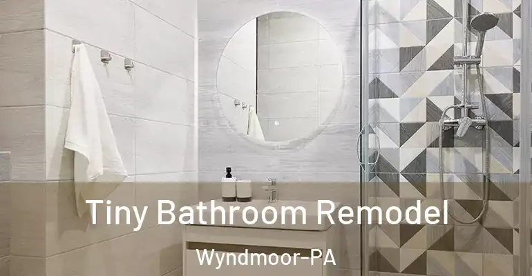 inner Bathroom imggen Tiny Bathroom Remodel Wyndmoor-PA
