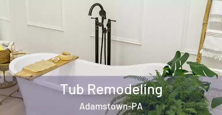 inner Bathroom imggen Tub Remodeling Adamstown-PA