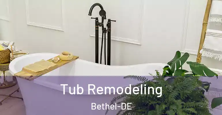 inner Bathroom imggen Tub Remodeling Bethel-DE