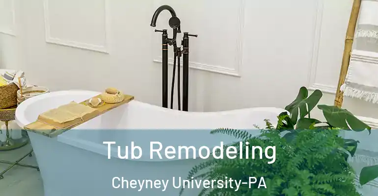 inner Bathroom imggen Tub Remodeling Cheyney University-PA