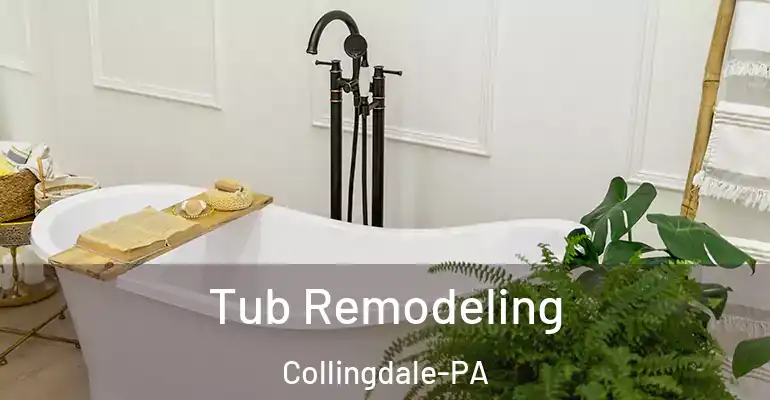inner Bathroom imggen Tub Remodeling Collingdale-PA