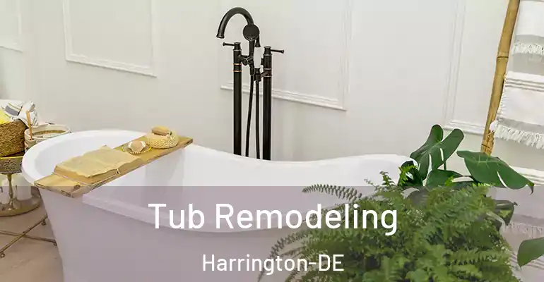 inner Bathroom imggen Tub Remodeling Harrington-DE