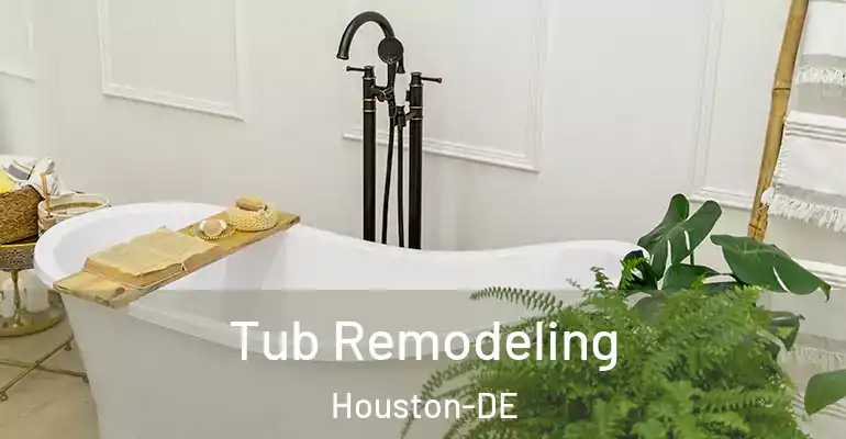 inner Bathroom imggen Tub Remodeling Houston-DE