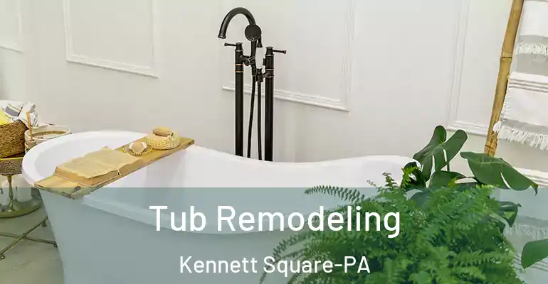 inner Bathroom imggen Tub Remodeling Kennett Square-PA
