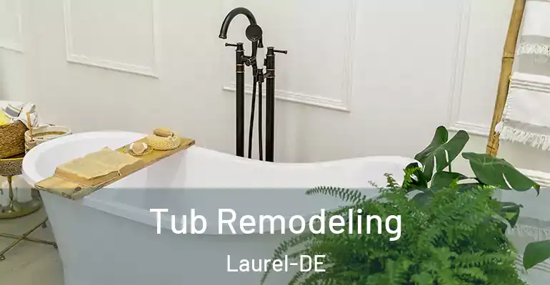 inner Bathroom imggen Tub Remodeling Laurel-DE