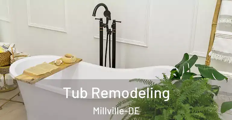 inner Bathroom imggen Tub Remodeling Millville-DE