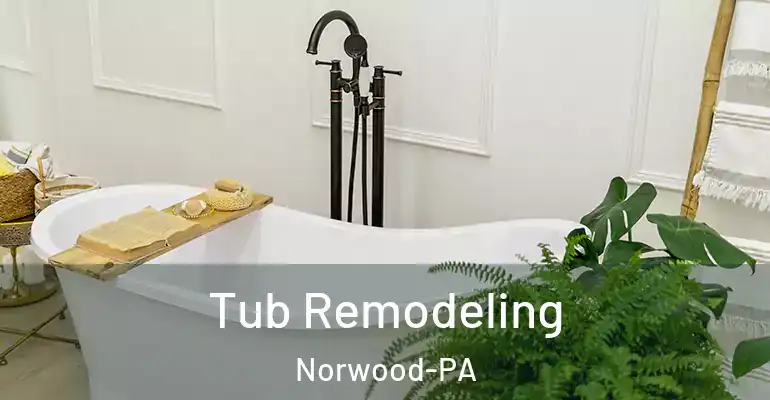 inner Bathroom imggen Tub Remodeling Norwood-PA