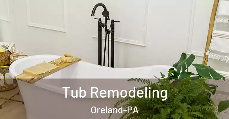 inner Bathroom imggen Tub Remodeling Oreland-PA