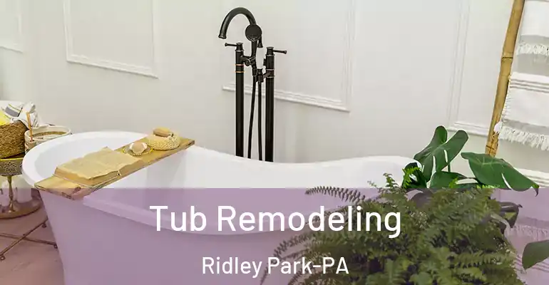 inner Bathroom imggen Tub Remodeling Ridley Park-PA