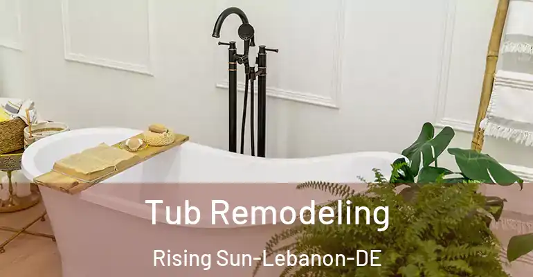 inner Bathroom imggen Tub Remodeling Rising Sun-Lebanon-DE