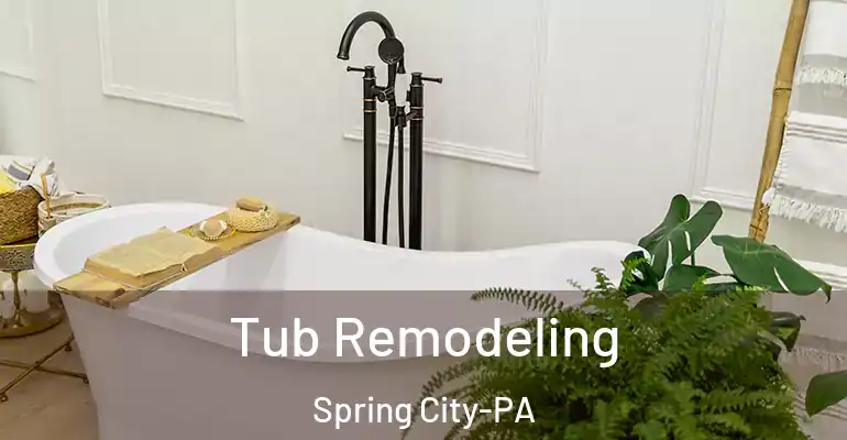 inner Bathroom imggen Tub Remodeling Spring City-PA