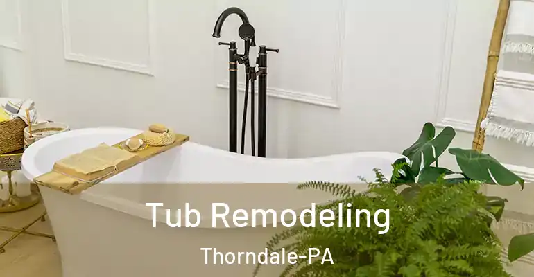 inner Bathroom imggen Tub Remodeling Thorndale-PA