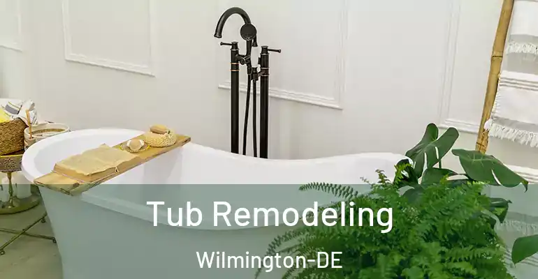 inner Bathroom imggen Tub Remodeling Wilmington-DE