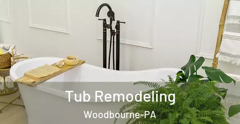 inner Bathroom imggen Tub Remodeling Woodbourne-PA