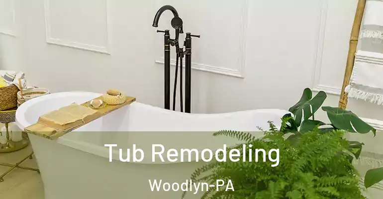 inner Bathroom imggen Tub Remodeling Woodlyn-PA