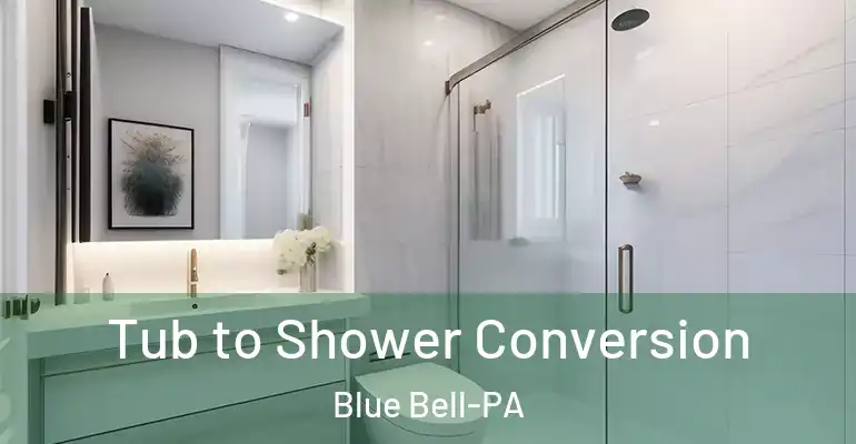 inner Bathroom imggen Tub to Shower Conversion Blue Bell-PA