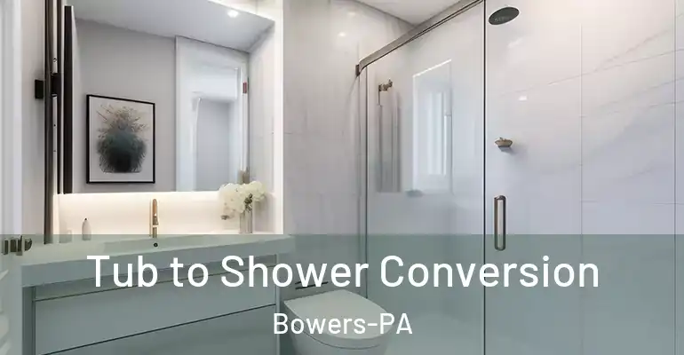 inner Bathroom imggen Tub to Shower Conversion Bowers-PA