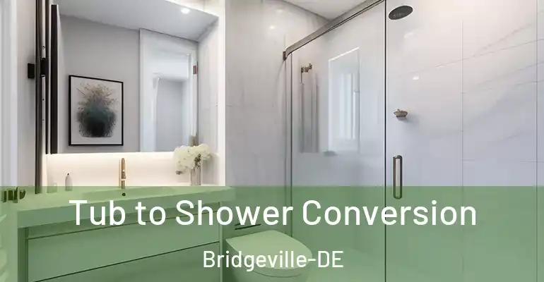 inner Bathroom imggen Tub to Shower Conversion Bridgeville-DE