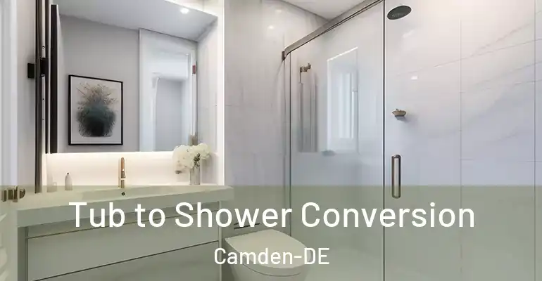 inner Bathroom imggen Tub to Shower Conversion Camden-DE