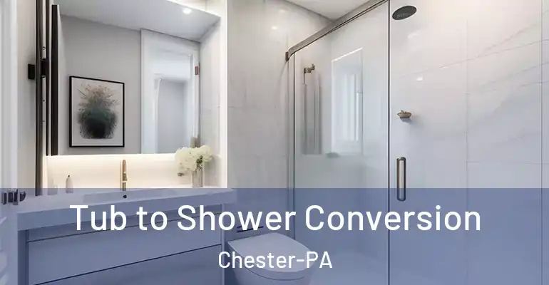 inner Bathroom imggen Tub to Shower Conversion Chester-PA