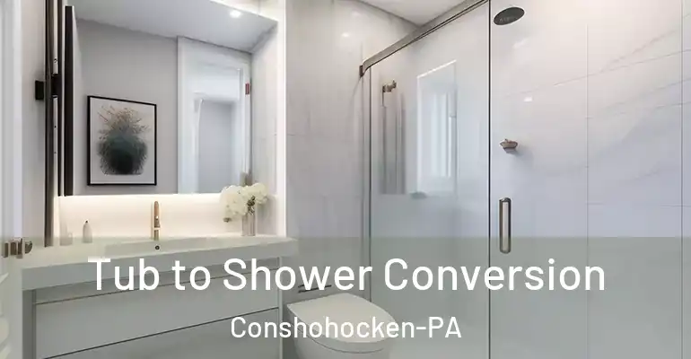 inner Bathroom imggen Tub to Shower Conversion Conshohocken-PA