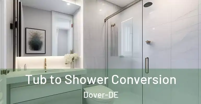 inner Bathroom imggen Tub to Shower Conversion Dover-DE