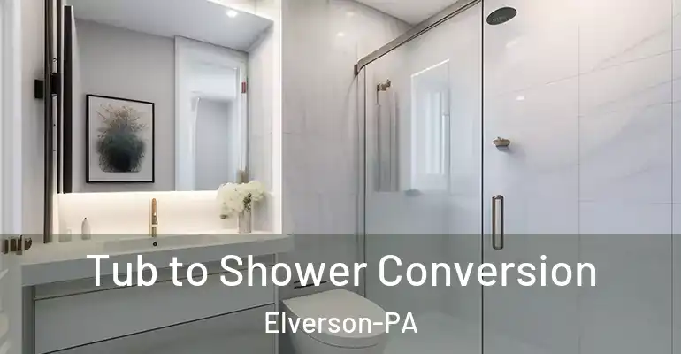 inner Bathroom imggen Tub to Shower Conversion Elverson-PA