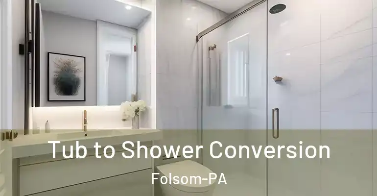 inner Bathroom imggen Tub to Shower Conversion Folsom-PA