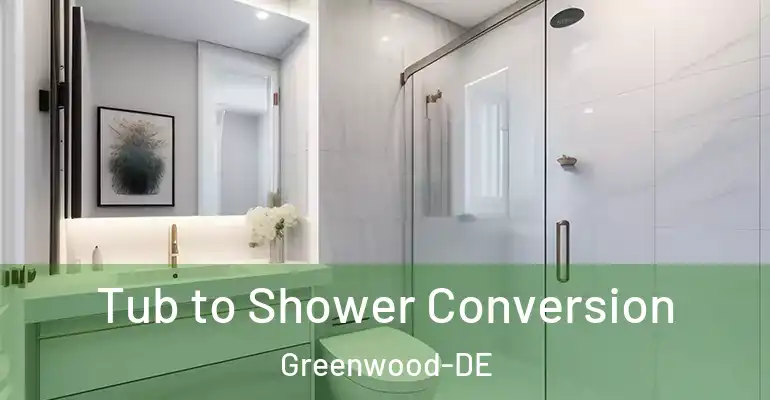 inner Bathroom imggen Tub to Shower Conversion Greenwood-DE