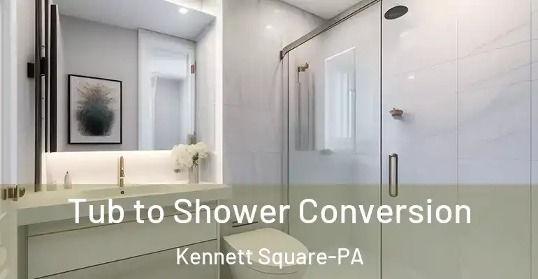 inner Bathroom imggen Tub to Shower Conversion Kennett Square-PA