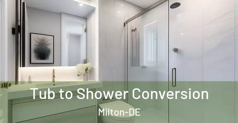 inner Bathroom imggen Tub to Shower Conversion Milton-DE