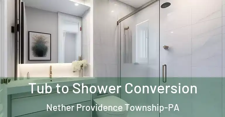 inner Bathroom imggen Tub to Shower Conversion Nether Providence Township-PA
