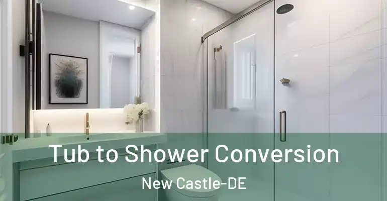 inner Bathroom imggen Tub to Shower Conversion New Castle-DE